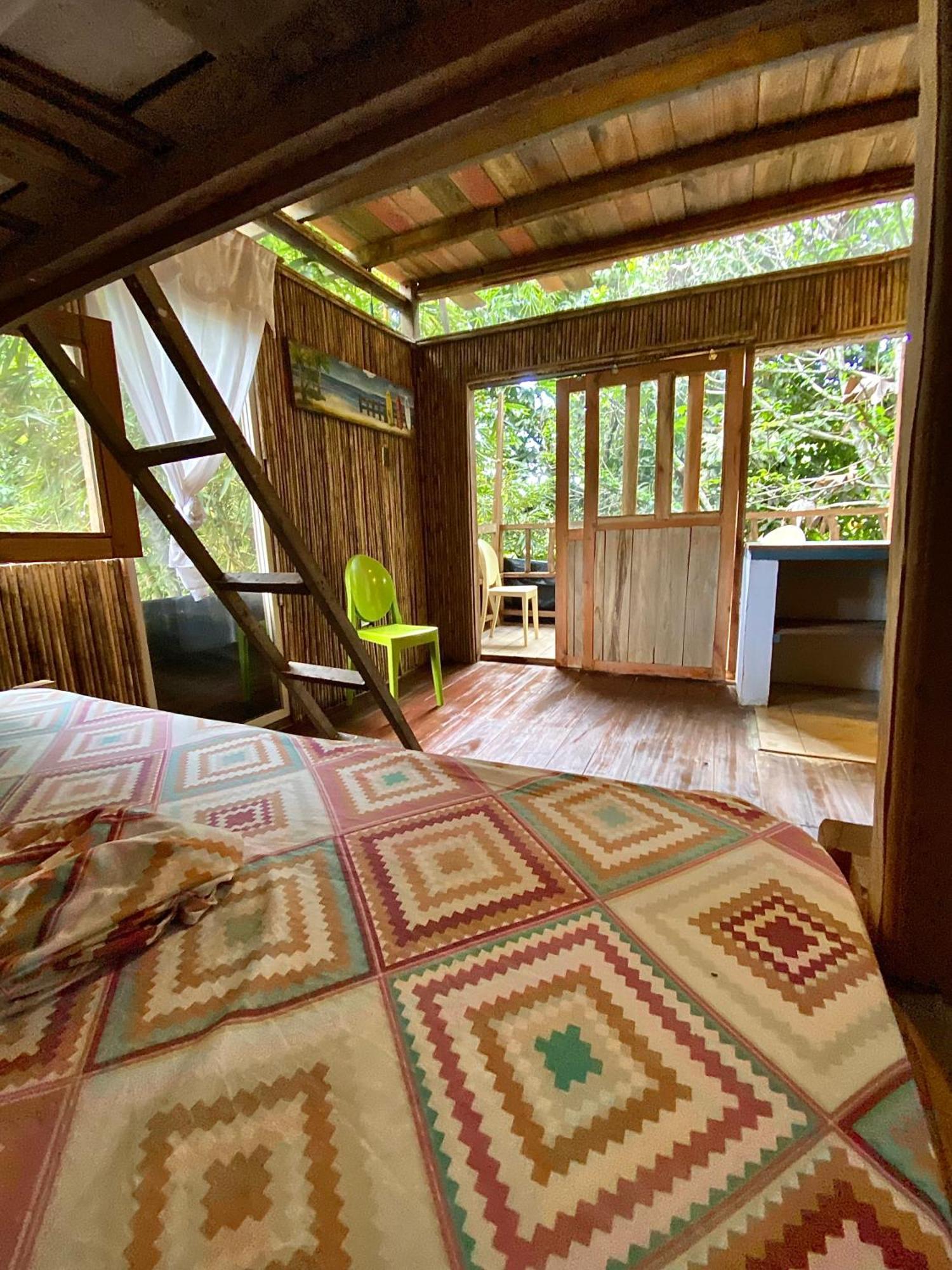 Utria Hostel El Valle  Szoba fotó